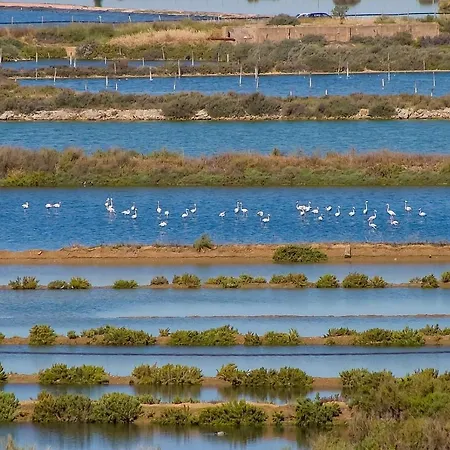 公寓 Waterfront: Amazing View Of Ocean And Salinas With Flamingos *